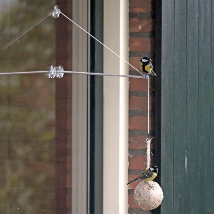 Startpaket fönsterupphängning & stor talgboll med insekter